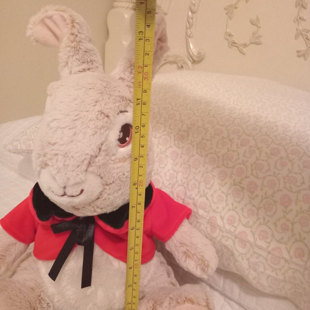 Peter Rabbit Plushie - Picture 3 of 10